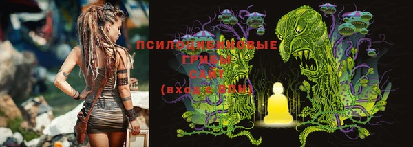 дурь Лихославль